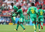 开云体育官方网站-关于塞内加尔爆冷荷兰，莫德里奇打破历史纪录的信息