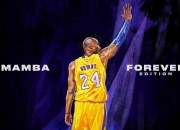 开云体育官方网站-当鹈鹕的绝杀遇上约基奇的统治力，篮球世界的偶然与必然