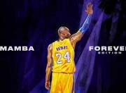 开云体育官方网站-当鹈鹕的绝杀遇上约基奇的统治力，篮球世界的偶然与必然