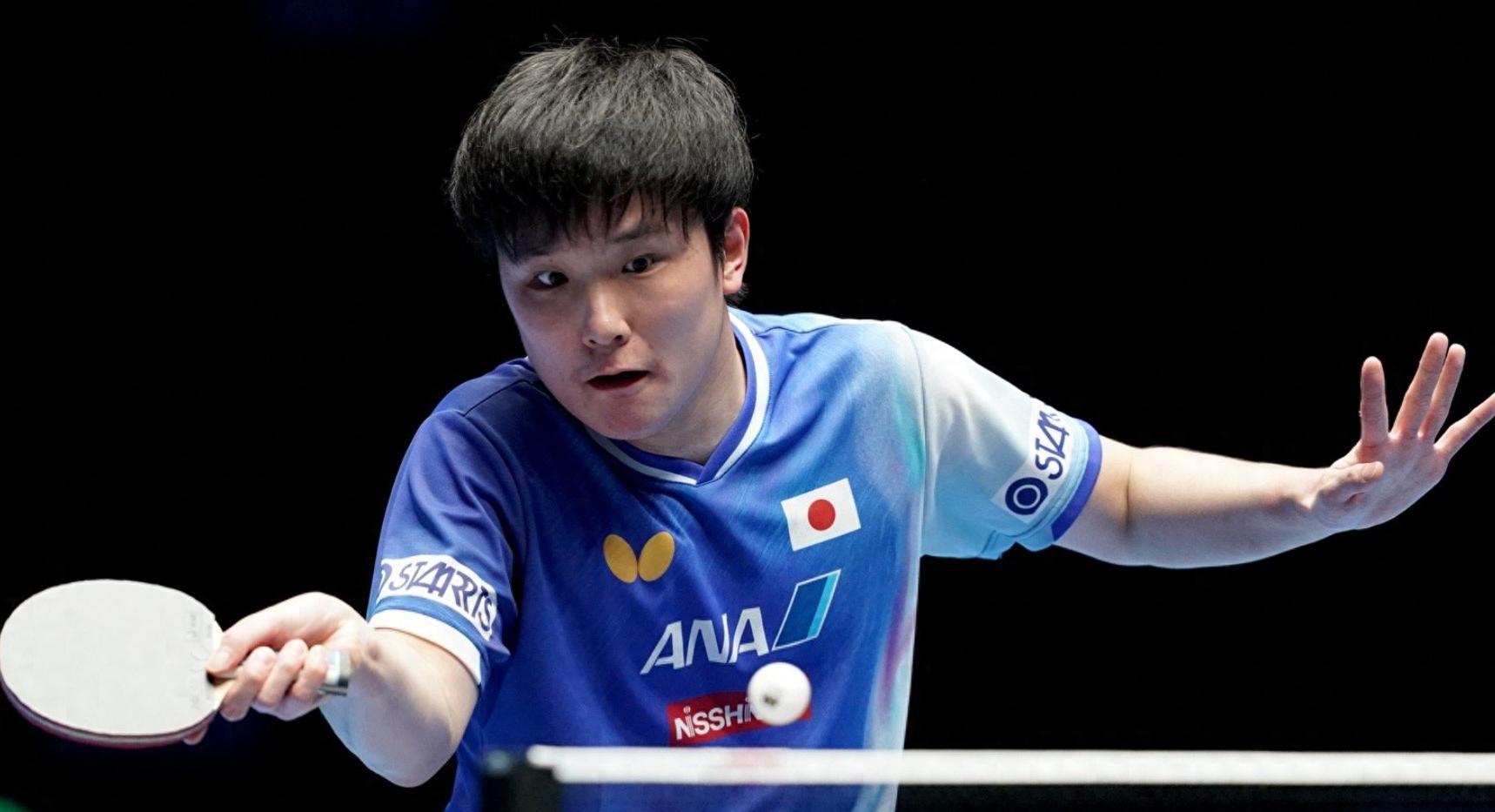 法国乒乓球队完胜波兰乒乓球队，张本智和高光表现的简单介绍