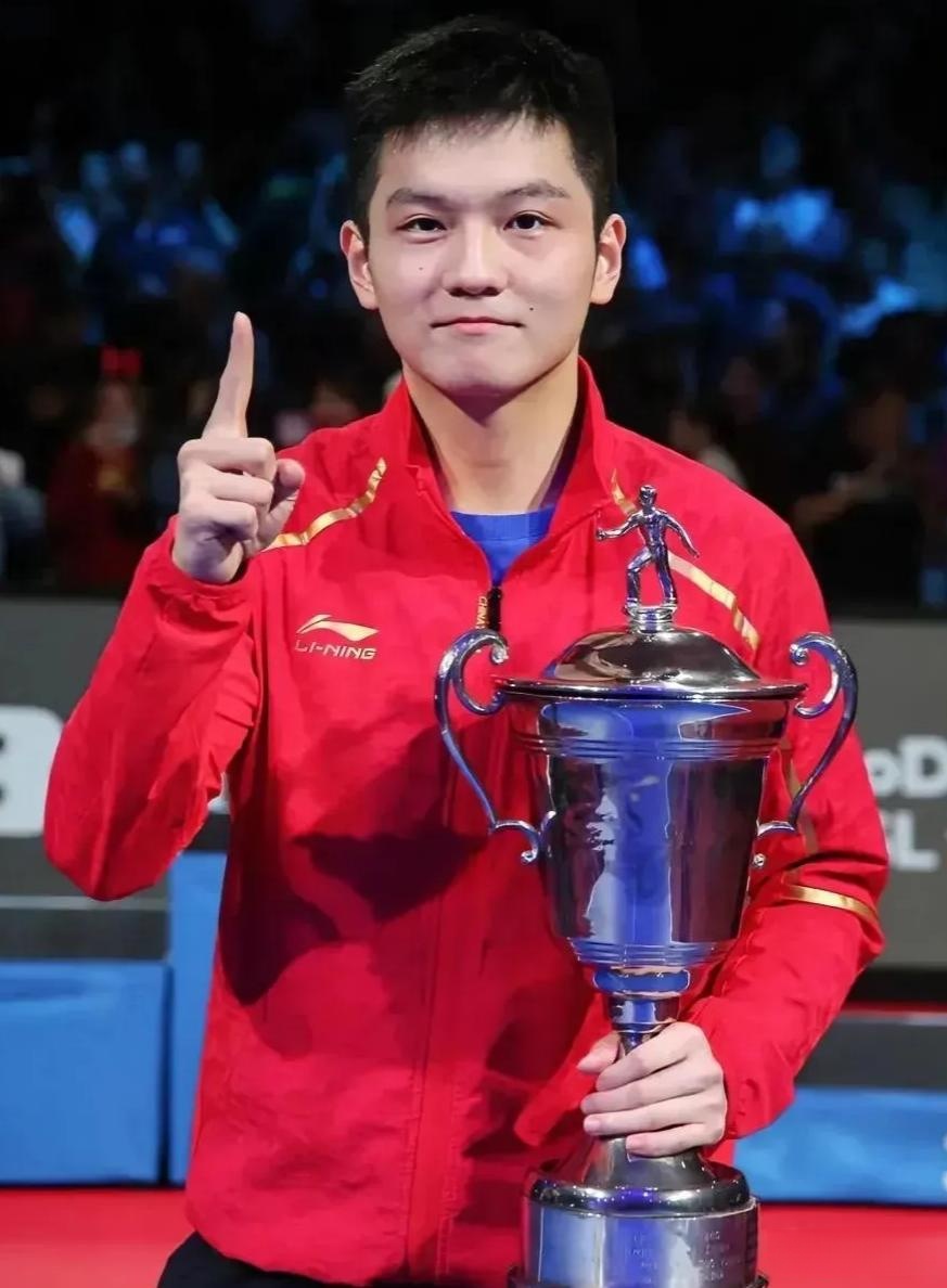 葡萄牙队横扫韩国队，樊振东关键制胜的简单介绍