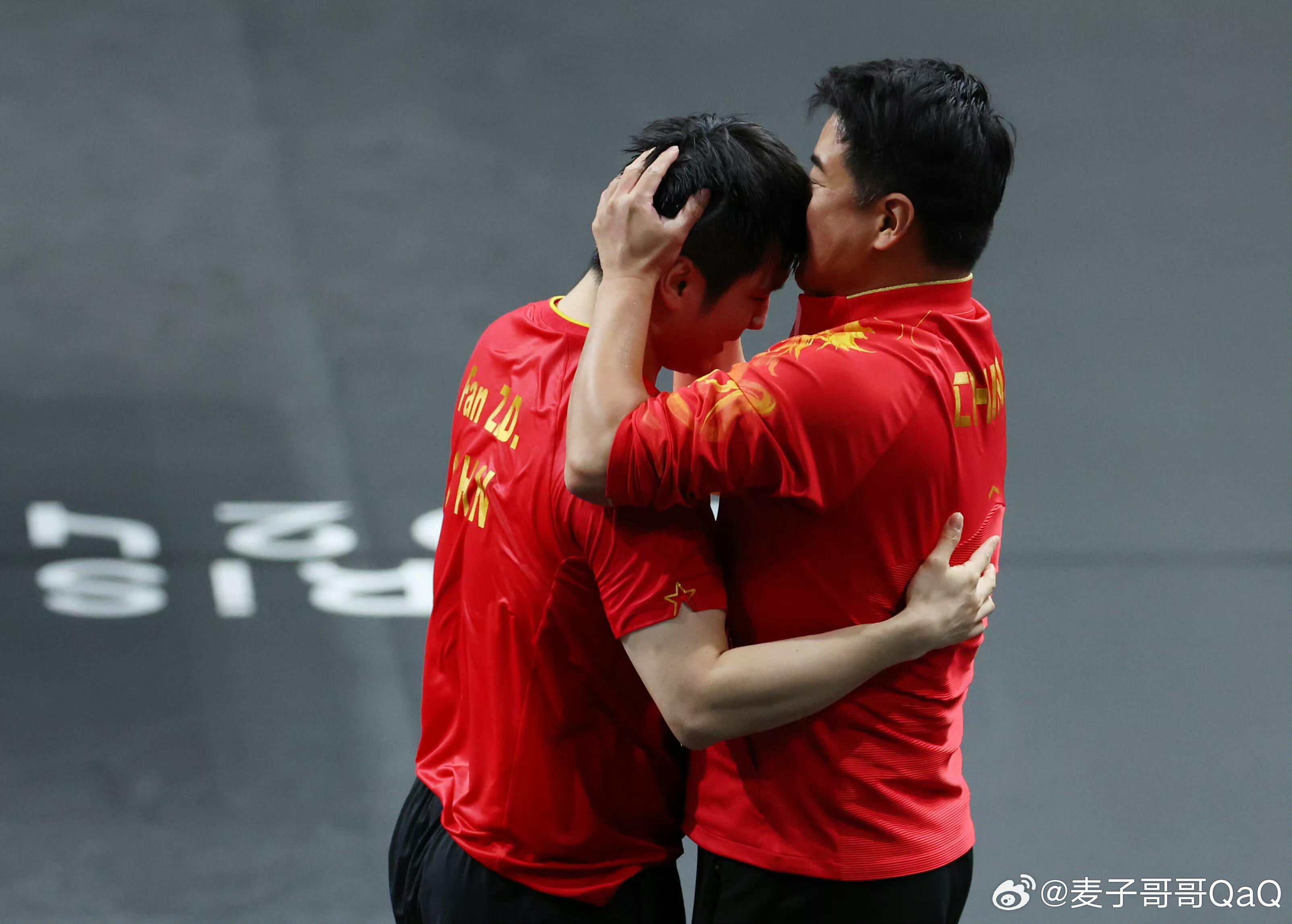 葡萄牙队横扫韩国队，樊振东关键制胜的简单介绍