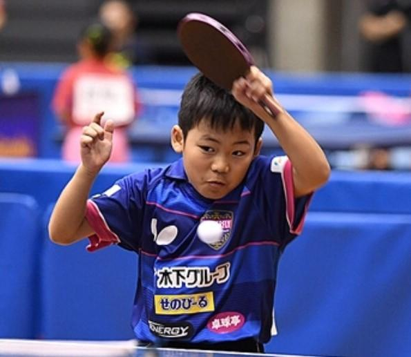 日本乒乓球队翻盘法国乒乓球队，水谷隼制霸全场的简单介绍