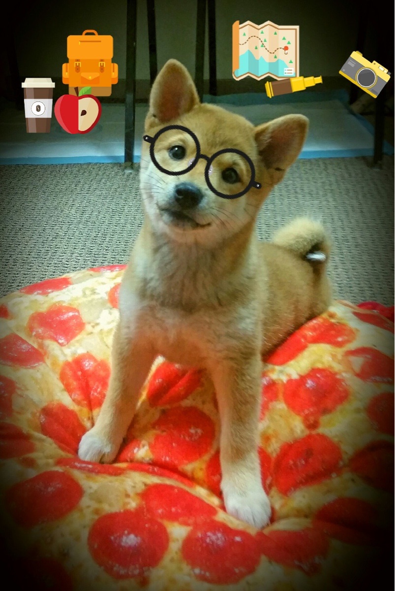 黄蜂蛰伤76人，杜兰特里程碑之夜见证新王崛起